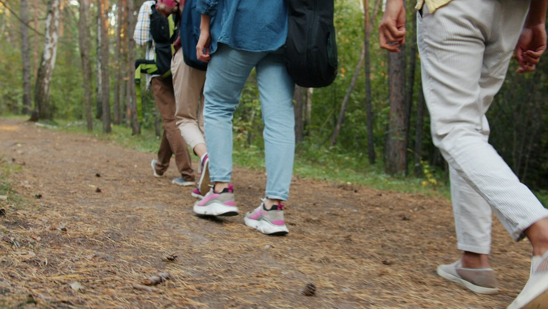 group walking in nature